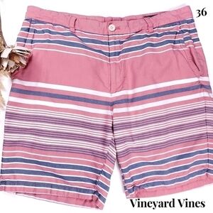 Vineyard Vines Men's Pink Blue Stripe Cotton Shorts Size 36